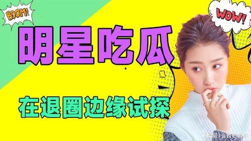 吃瓜娱乐圈类小说,瓜田里的明星秘闻